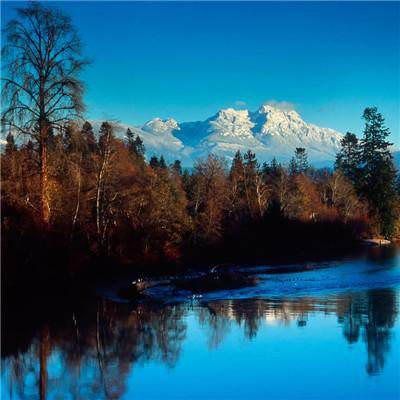 开云体云app下载手机版