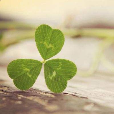 168极速赛车官网计划截图