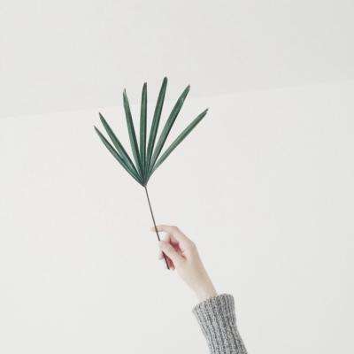 澳门一码一肖一特一中