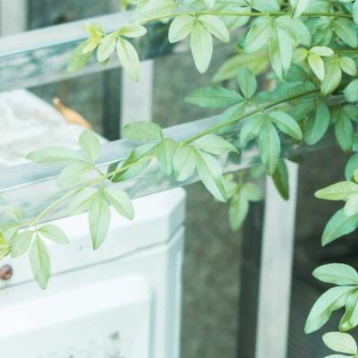 星空体育app下载APP