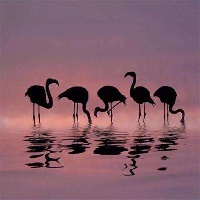 开云体云app下载手机版截图